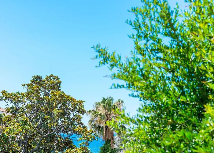 公寓 Paula - One Bedroom With Shared Terrace 杜布罗夫尼克